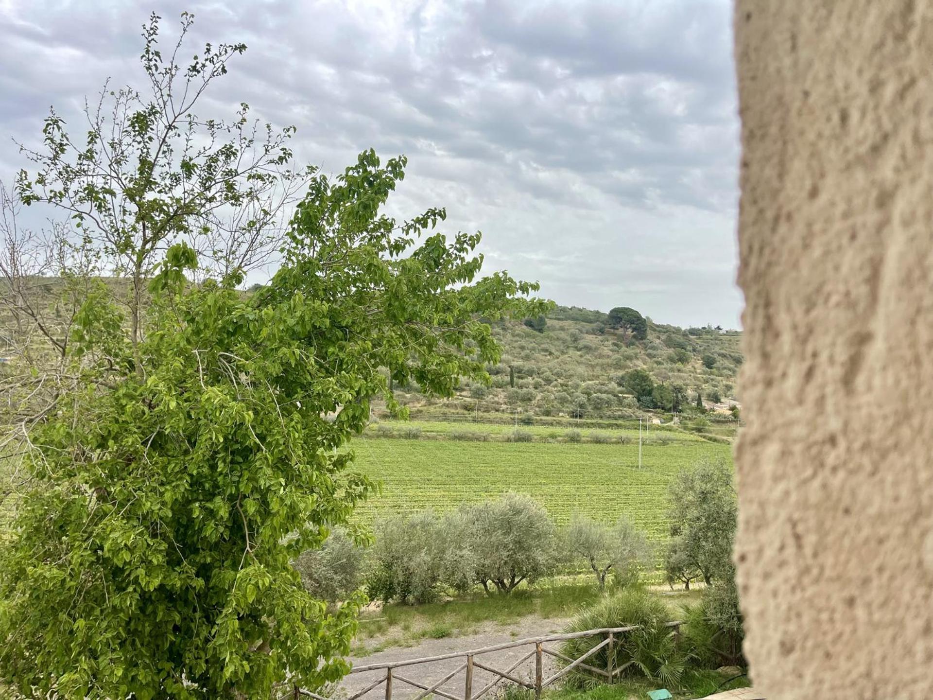 Tenuta Valle Delle Ferle Caltagirone Ngoại thất bức ảnh